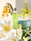 Luxury Neroli & Ylang Eau De Cologne