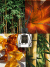 Amber Bamboo Diffuser