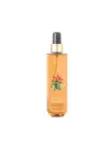 Luxury Amber Eau De Cologne