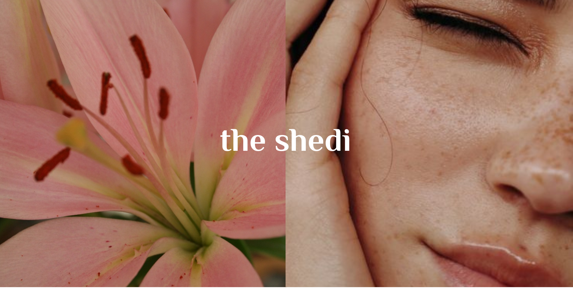 the shedi sedi.ae web site design